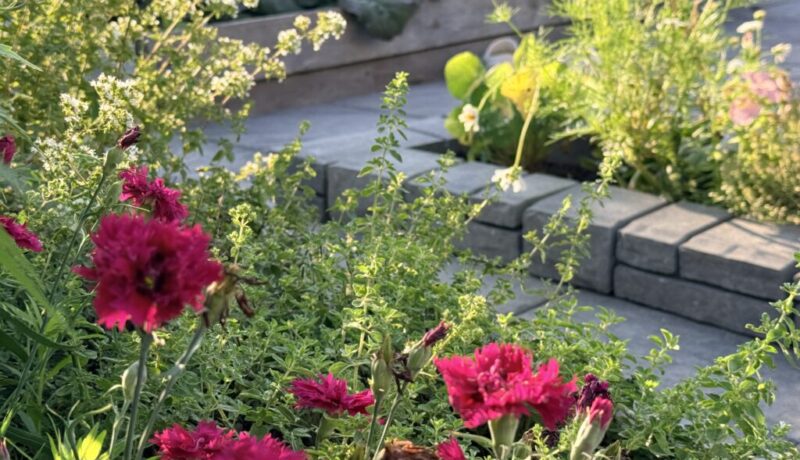 Companion planting flowers and herbs among vegetable garden beds