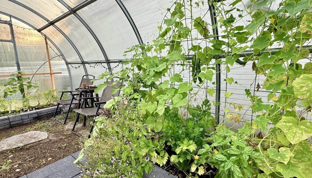 greenhouse gardening benefits