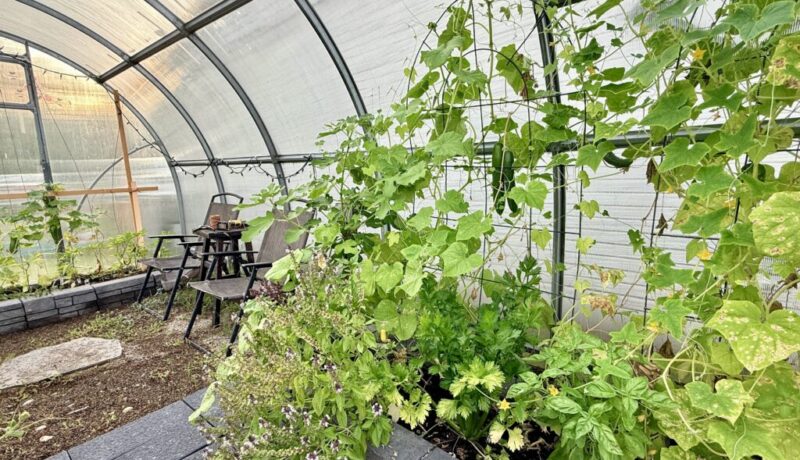 greenhouse gardening benefits