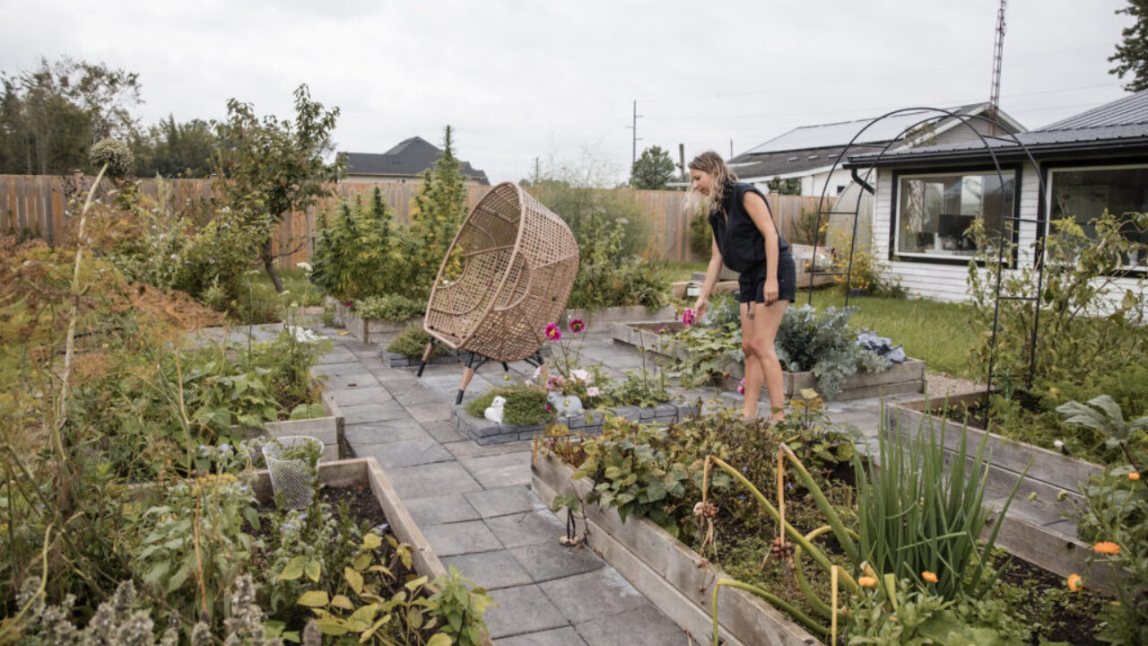 Fall Garden Wrap Up